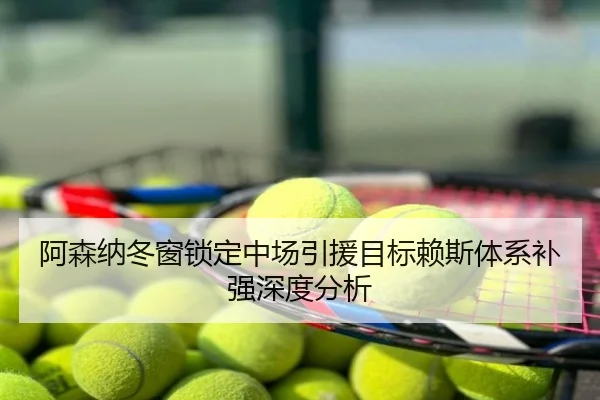 阿森纳冬窗锁定中场引援目标赖斯体系补强深度分析